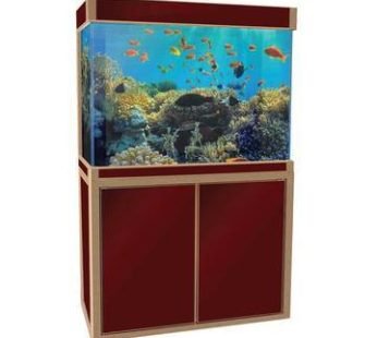 Red 100 Gallon Fish Tank