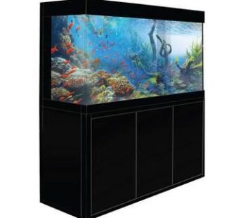 Black 135 Gallon Glass Fish Tank