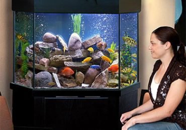 Corner Aquarium Fish Tank